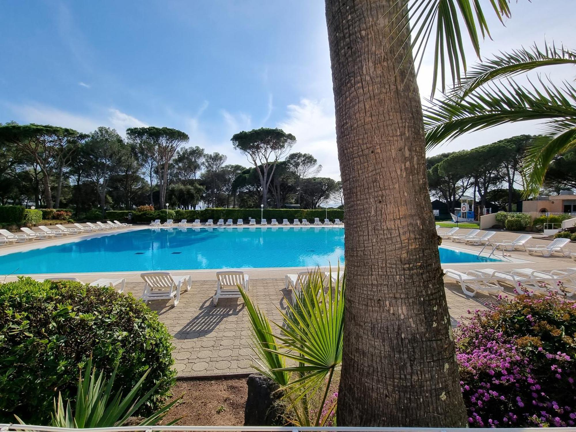 Studio 4P Vue Piscine St Raphael Valescure - Au Coeur Des Golfs Saint-Raphaël Esterno foto